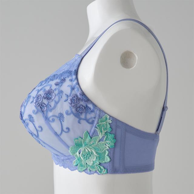 シータブラ(SP583)