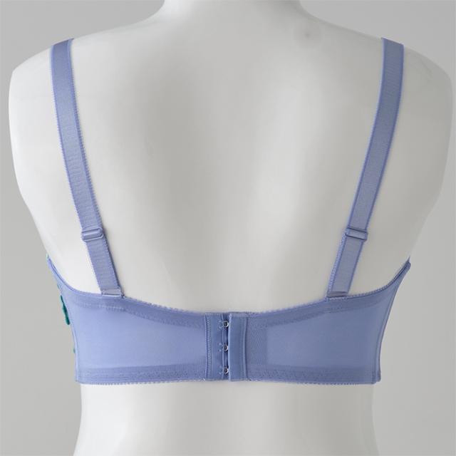 シータブラ(SP583)