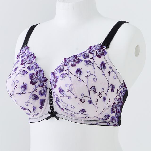 エリザブラショーツセット