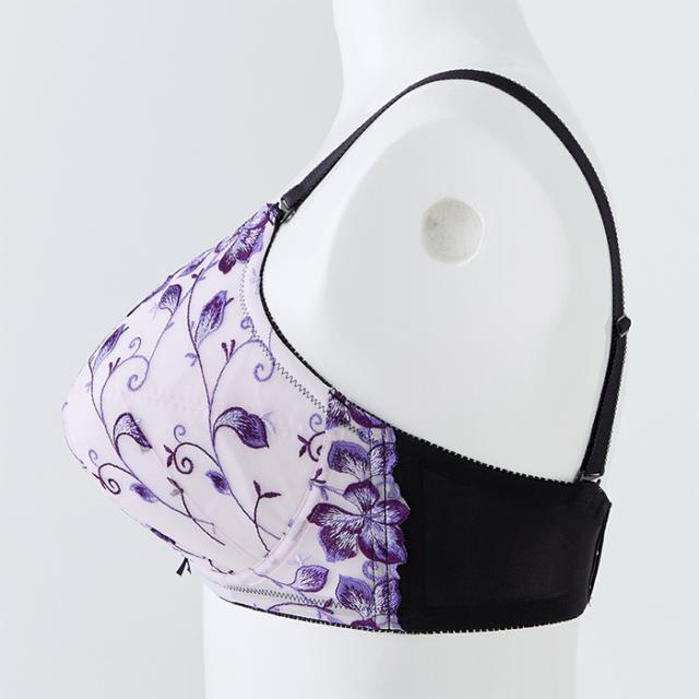 エリザブラショーツセット