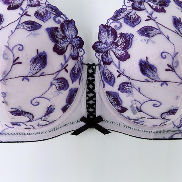 エリザブラショーツセット