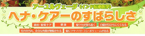 アウトレット送料無料 天然ipmヘナ4個セット 各100g 髪染め 白髪染め トリートメント エコサート認証 オーガニック認定 完売 Carlavista Com