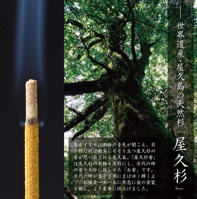 屋久杉香の拡大画像。屋久杉の木粉を原料に使用していることを伝えるため、世界遺産・屋久島の樹齢数千年の苔むした屋久杉の巨木（大木）を写した森の風景画像。