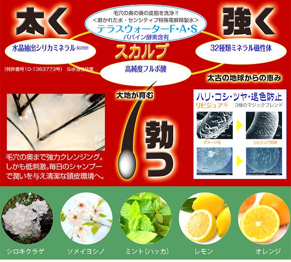 スカルプ レジェンド アミノシャンプー250g