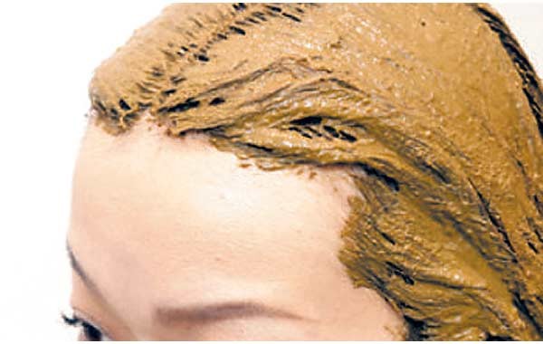 生え際まで塗る