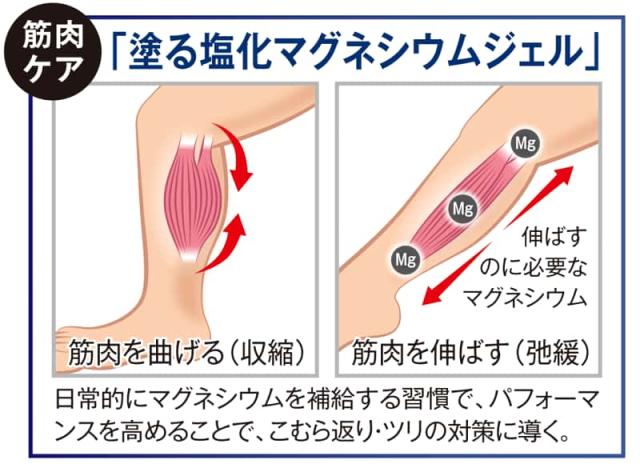 筋肉ケア「塗る塩化マグネシウムジェル」の働き。筋肉を曲げる(収縮)状態と、伸ばす(弛緩)状態の図解。筋肉を伸ばすのにマグネシウムが必要であり、日常的なマグネシウム補給の習慣がこむら返りや足のツリ対策に導くことを説明。