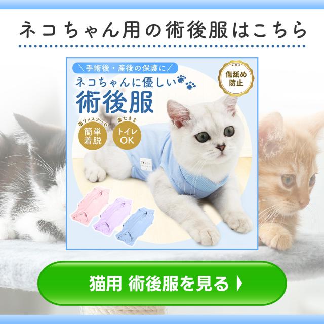 ネコちゃん用の術後服もご用意しています。画像クリックでネコちゃん用の商品ページへリンクします。