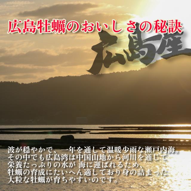 広島産 牡蠣旨み醤油漬け