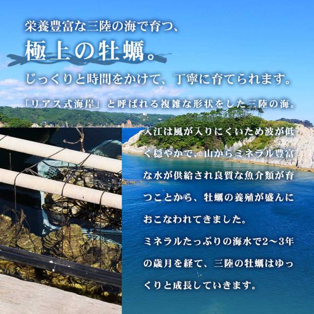 ミネラル豊富な三陸の海で2~3年の歳月をかけてゆっくり成長した極上の岩手の牡蠣です。