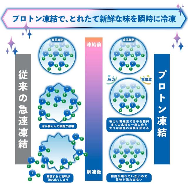 殊技術「プロトン凍結」でとれたて新鮮な味を瞬時に冷凍。