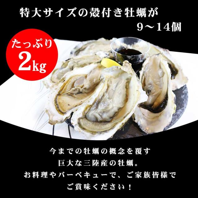 特大サイズの殻付き牡蠣がたっぷり2kg、1袋に9~14個、巨大な岩手県産の牡蠣をご家族皆様でご賞味下さい。