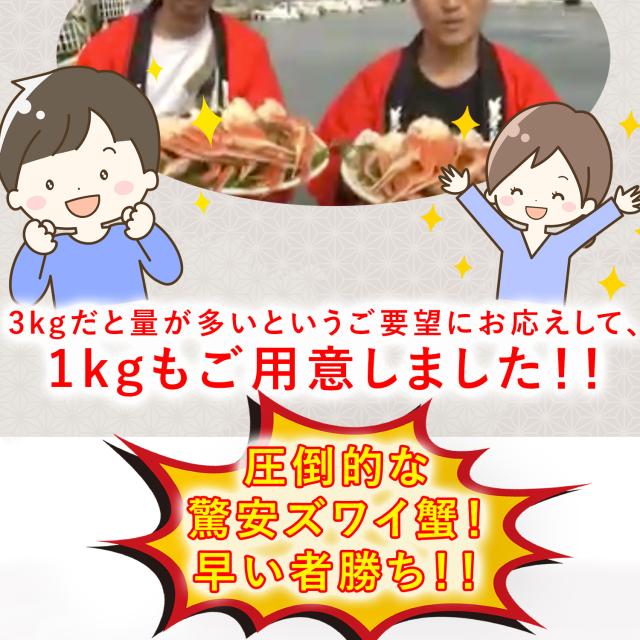 特盛 本ズワイガニ脚 1.0kg(0.8kg) 4-8肩