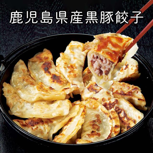 鹿児島県産黒豚餃子