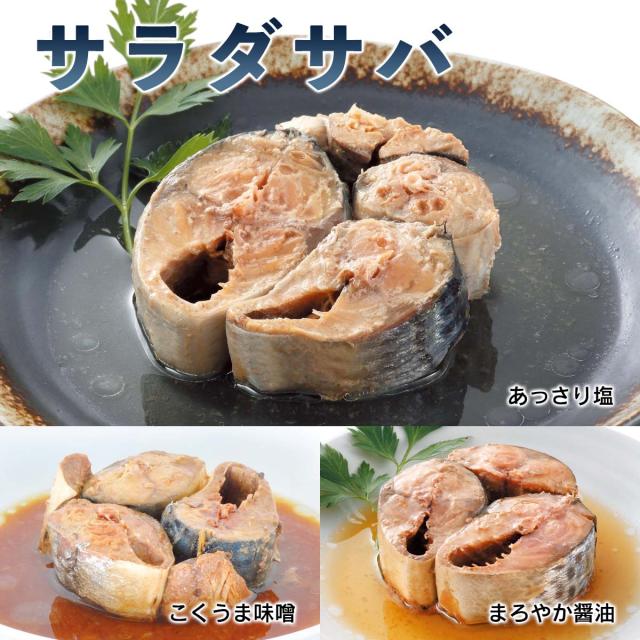 サラダサバ3種6缶セット