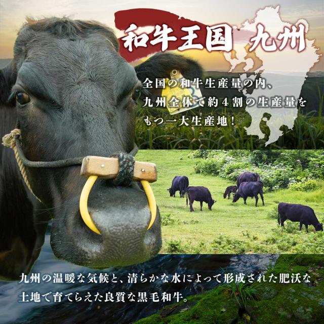 九州産黒毛和牛切り落とし 300g×3パック