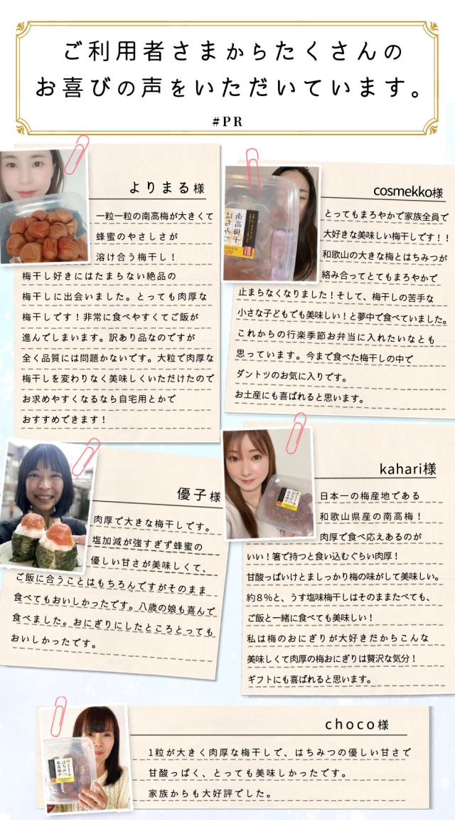 JAわかやま 南高梅 はちみつ梅干し（３L以上)