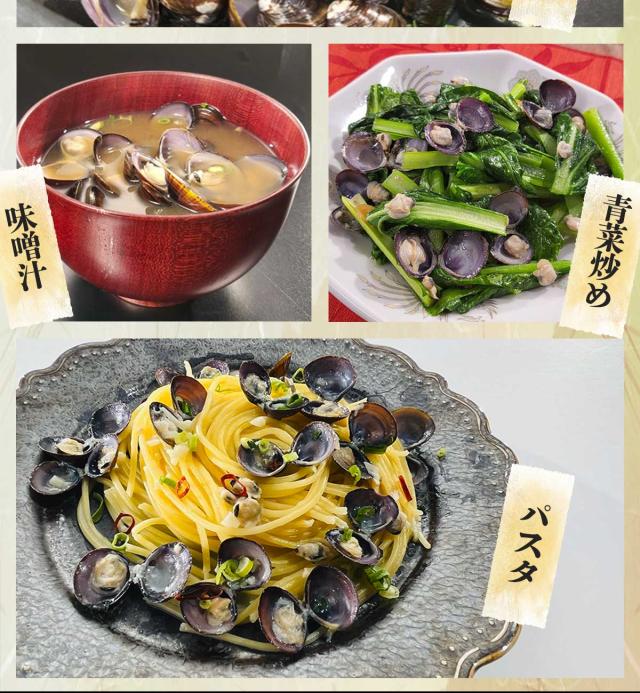 青森・小川原湖漁協 大粒L サイズのシジミ 大漁 1.5kg