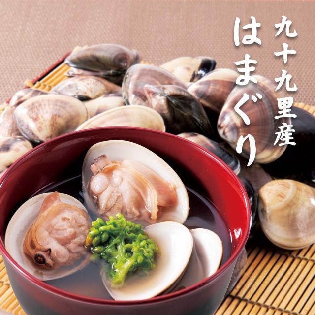 九十九里産 はまぐり
