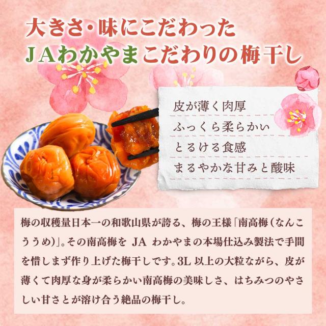 JAわかやま 南高梅 はちみつ梅干し（３L以上)