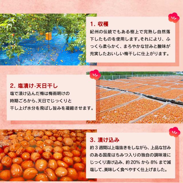 JAわかやま 南高梅 はちみつ梅干し（３L以上)