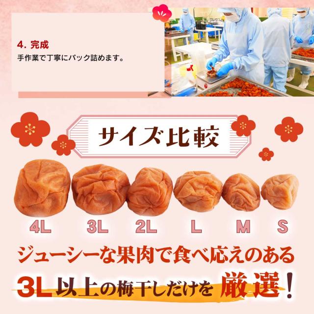 JAわかやま 南高梅 はちみつ梅干し（３L以上)