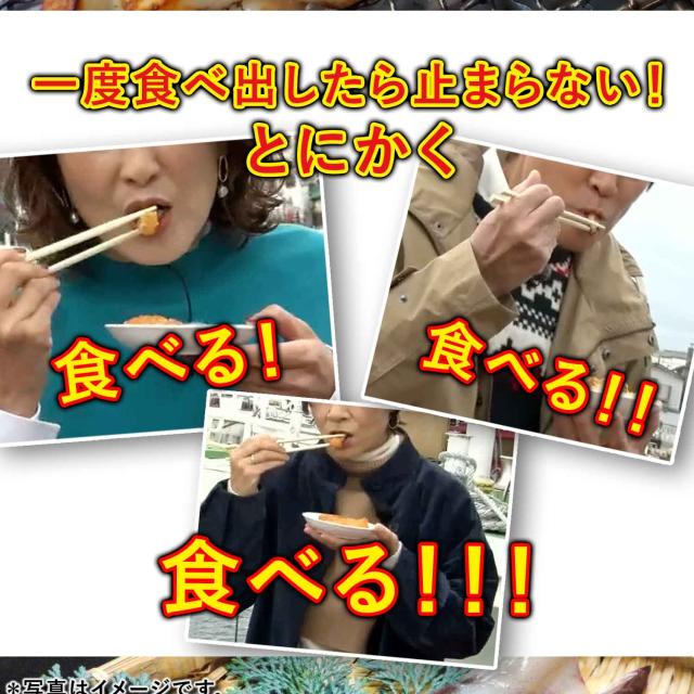 イカの旨み醤油網焼き