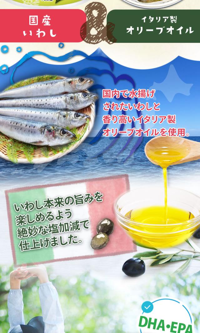 日本のいわし オリーブオイル