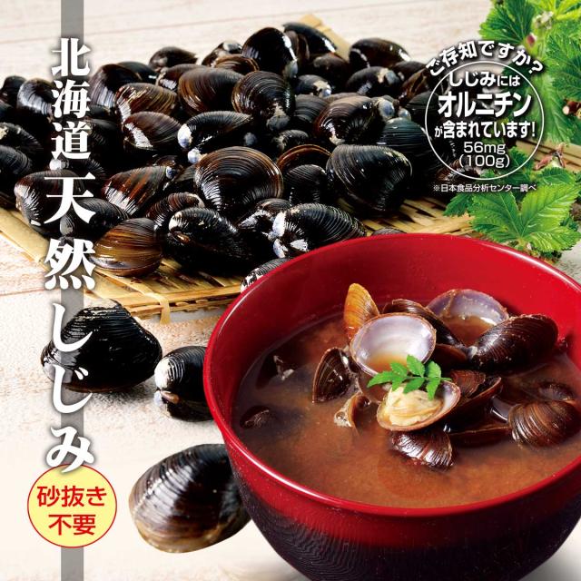 北海道 網走湖産 しじみ 1kg