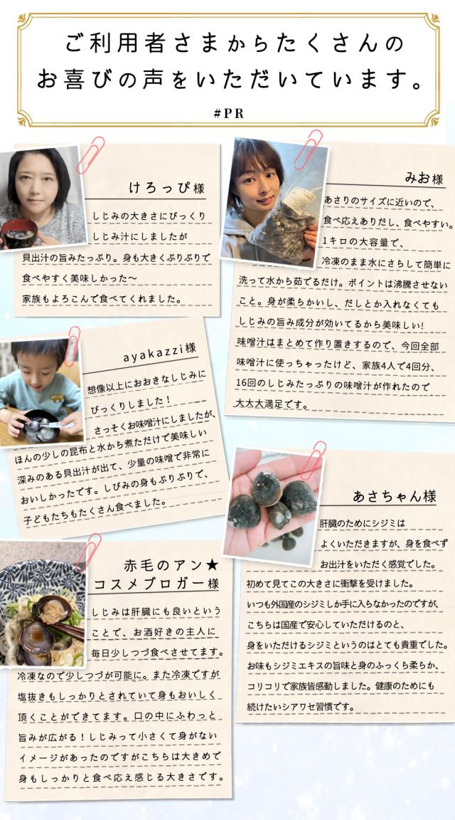 北海道 網走湖産 しじみ 1kg