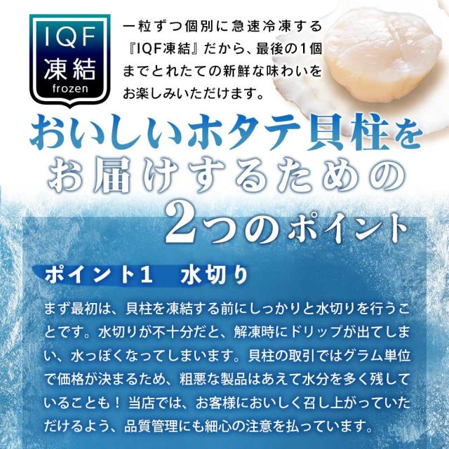 オホーツク海産 北海道ホタテ お刺身用500g