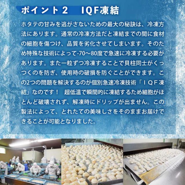 オホーツク海産 北海道ホタテ お刺身用500g