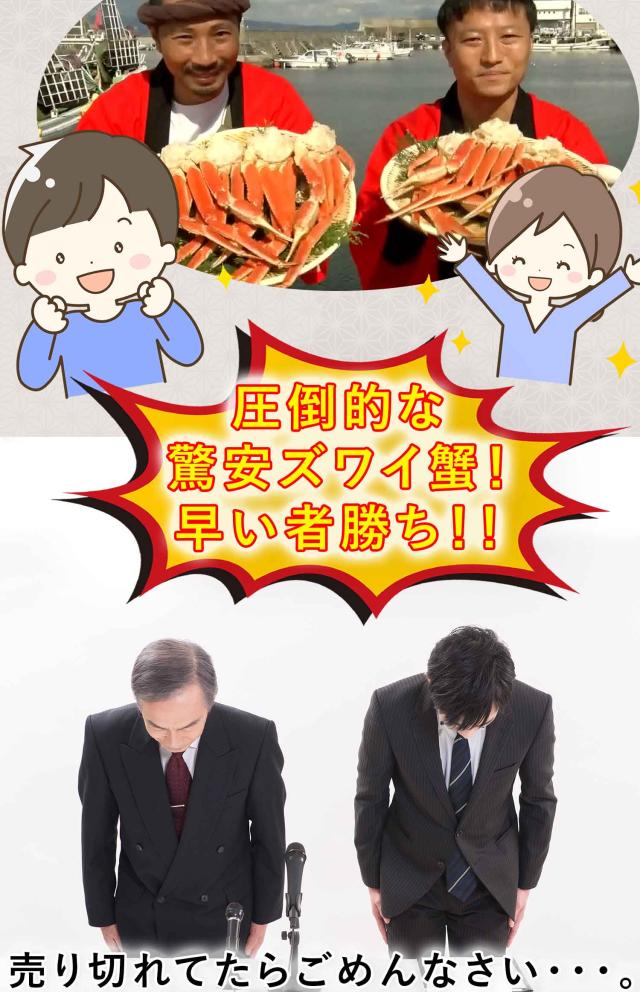 特大 本ズワイガニ脚 3.0kg（2.4kg）8-10肩