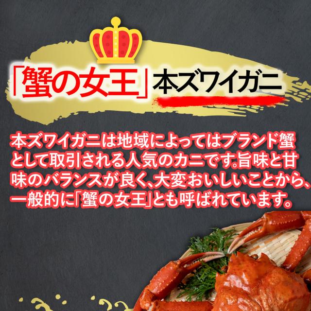 特大 本ズワイガニ脚 3.0kg（2.4kg）8-10肩