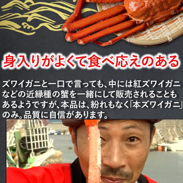 特大 本ズワイガニ脚 3.0kg（2.4kg）8-10肩