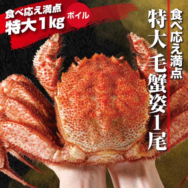 特大毛蟹姿 1尾 1kg（ボイル）