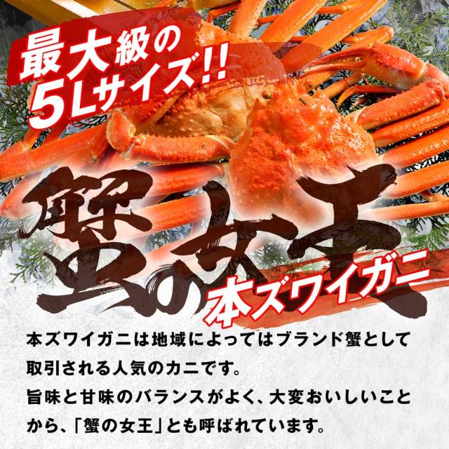 本ズワイ蟹5L 12〜15肩 5.4kg