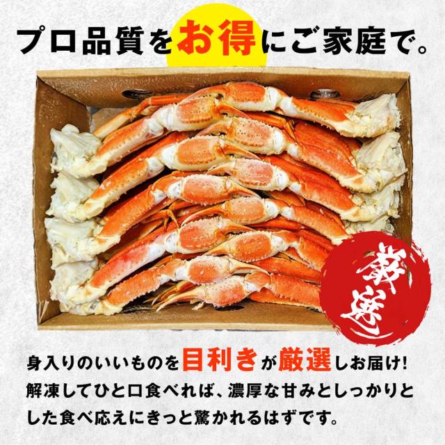 本ズワイ蟹5L 12〜15肩 5.4kg