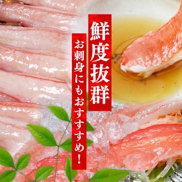 訳あり 生ズワイガニ むき身 500g×2P