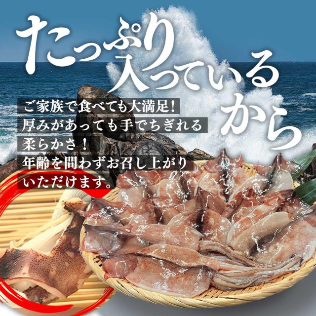 三陸産スルメイカ開き干し