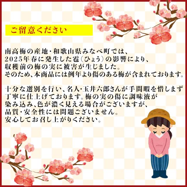 紀州南高梅 はちみつ梅