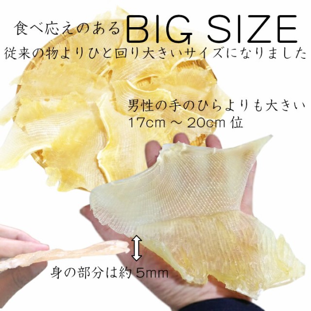 肉厚えいひれ