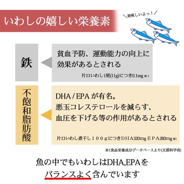 イワシの栄養