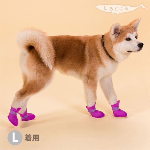 メール便送料無料 代引きの場合送料580円 犬用 レインブーツ 4足set U ェ U 散歩 愛犬 ペット用 かわいい 長靴 キャンペーンもお見逃しなく