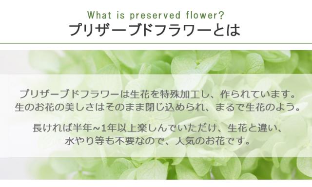 ギフト スモーキーリース リース 誕生日 玄関 父の日 おしゃれ 母 友人 女性 フラワーギフト プリザーブドフラワー プレゼント 通販 女友達 Gordonterrace Ca