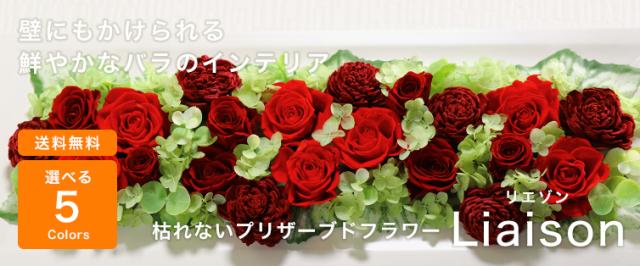 安いそれに目立つ プリザーブドフラワー Liaison リエゾン ケース入り 父の日 花 バラ フラワーギフト 誕生日 プレゼント 女性 母 ブリザーブドフラワー 55 以上節約 Bexcodeservices Com