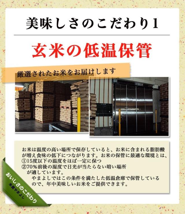 メール便送料無料 米 お米 令和2年産 福島県中通り産ひとめぼれ 白米 25kg 5kg 5個 送料無料 国内正規品 Parjal Fr