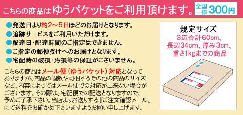 アピカ 方眼紙 A4 1mm目 50枚とじ ホウ12 - ノート・紙製品