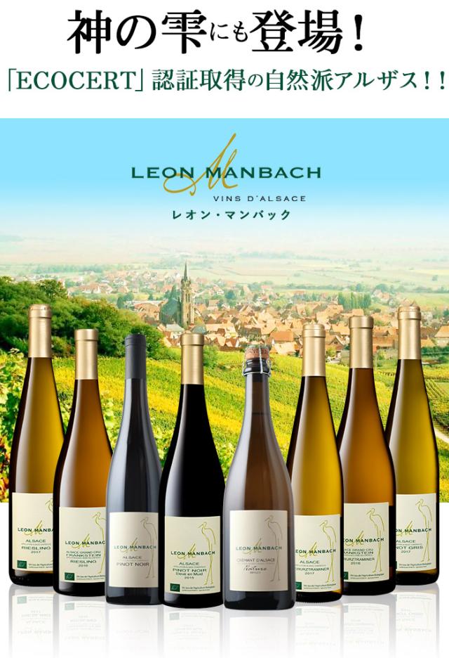 神の雫にも登場！「ECOCERT」認証取得の自然派アルザス！レオン・マンバック
