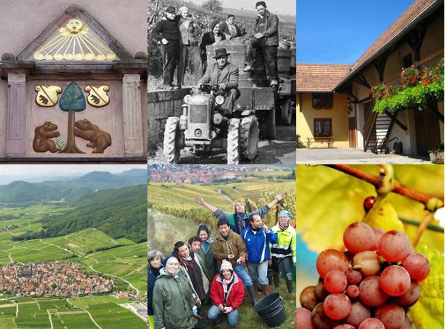 ドメーヌの今むかし