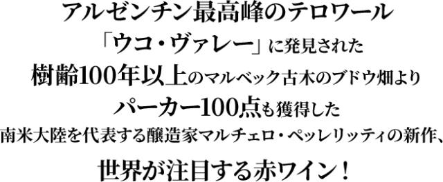 アルゼンチン最高峰のテロワール「ウコ・ヴァレー」に発見された樹齢100年以上のマルベック古木のブドウ畑よりパーカー100点も獲得した南米大陸を代表する醸造家マルチェロ・ペッレリッティの新作、世界が注目する赤ワイン